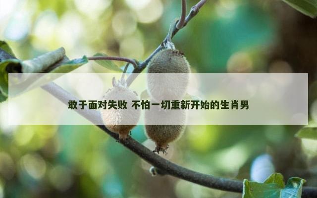 敢于面对失败 不怕一切重新开始的生肖男