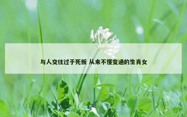 与人交往过于死板 从来不懂变通的生肖女