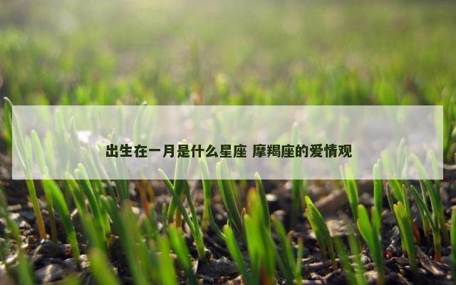 出生在一月是什么星座 摩羯座的爱情观