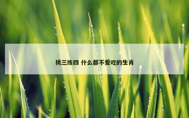 挑三拣四 什么都不爱吃的生肖