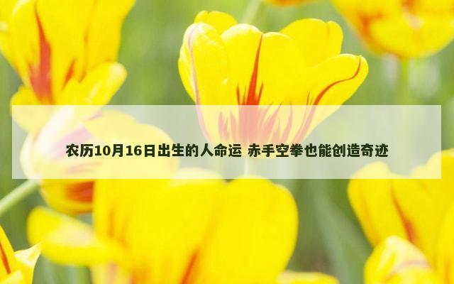 农历10月16日出生的人命运 赤手空拳也能创造奇迹