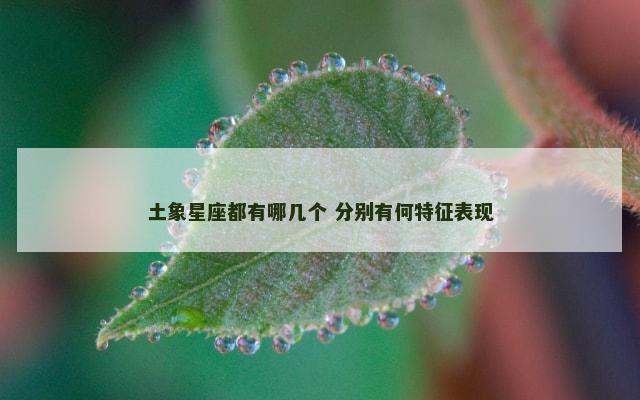 土象星座都有哪几个 分别有何特征表现