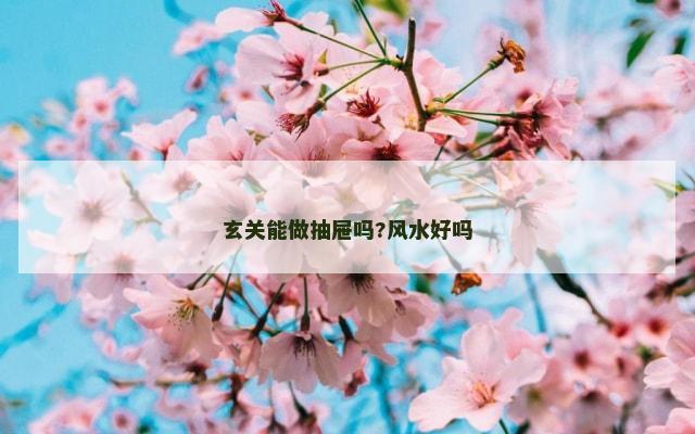 玄关能做抽屉吗?风水好吗