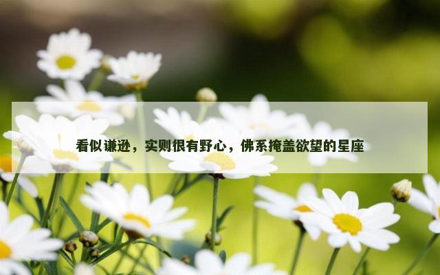 看似谦逊，实则很有野心，佛系掩盖欲望的星座