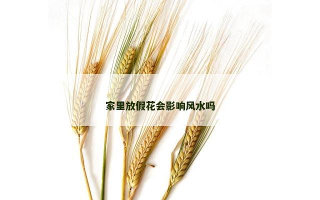 家里放假花会影响风水吗