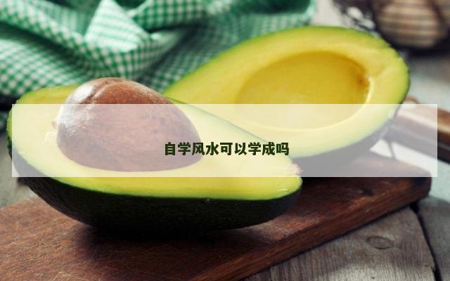 自学风水可以学成吗