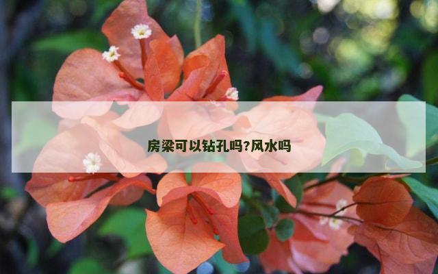 房梁可以钻孔吗?风水吗