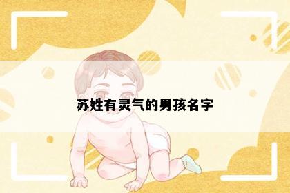 苏姓有灵气的男孩名字