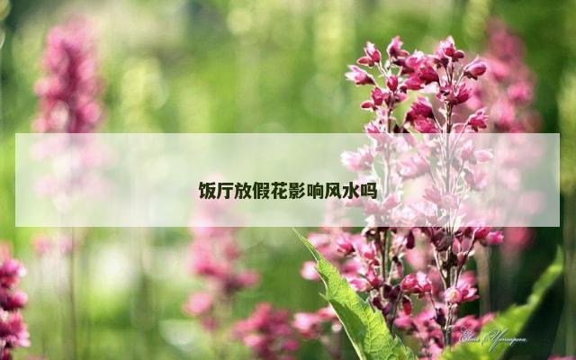饭厅放假花影响风水吗
