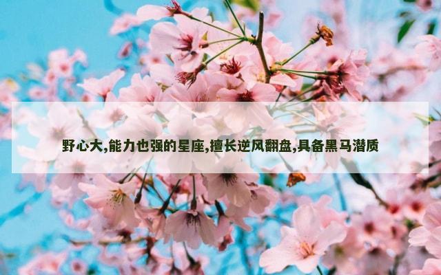 野心大,能力也强的星座,擅长逆风翻盘,具备黑马潜质