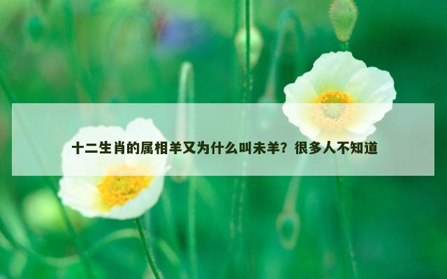 十二生肖的属相羊又为什么叫未羊？很多人不知道