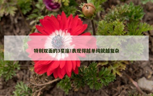 特别双面的3星座!表现得越单纯就越复杂
