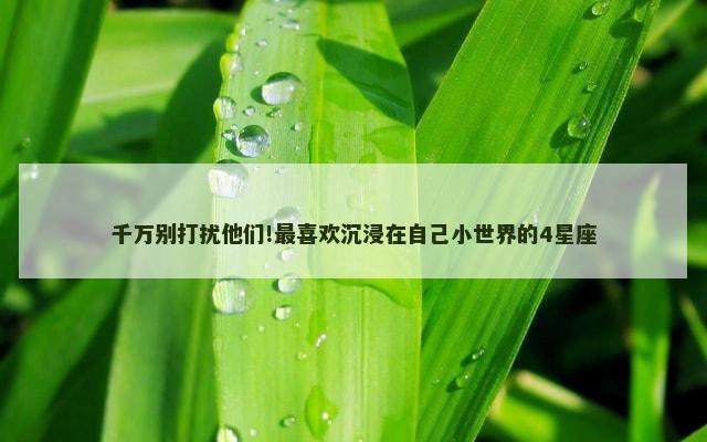 千万别打扰他们!最喜欢沉浸在自己小世界的4星座