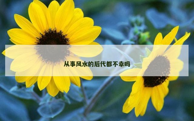 从事风水的后代都不幸吗
