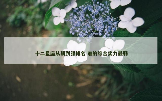 十二星座从弱到强排名 谁的综合实力最弱