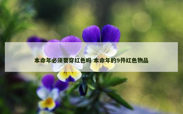 本命年必须要穿红色吗 本命年的9件红色物品