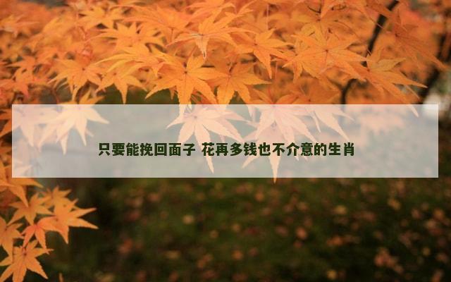 只要能挽回面子 花再多钱也不介意的生肖