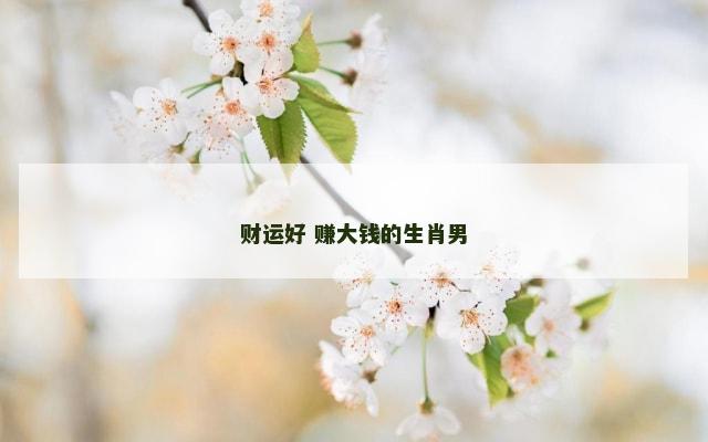 财运好 赚大钱的生肖男