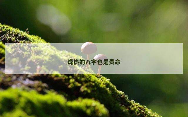 燥热的八字也是贵命