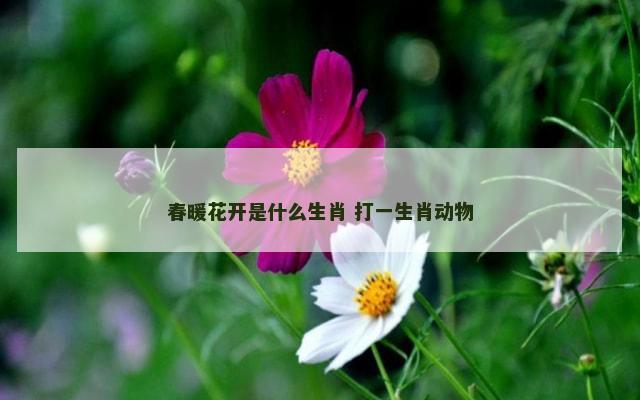 春暖花开是什么生肖 打一生肖动物