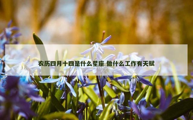 农历四月十四是什么星座 做什么工作有天赋