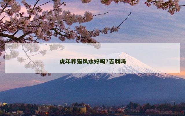 虎年养猫风水好吗?吉利吗