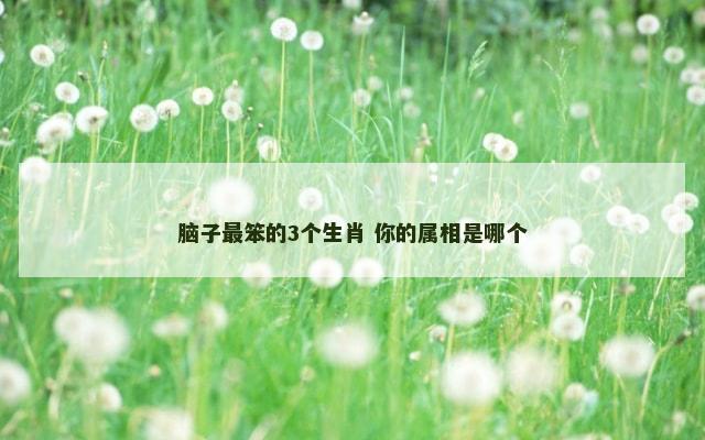 脑子最笨的3个生肖 你的属相是哪个