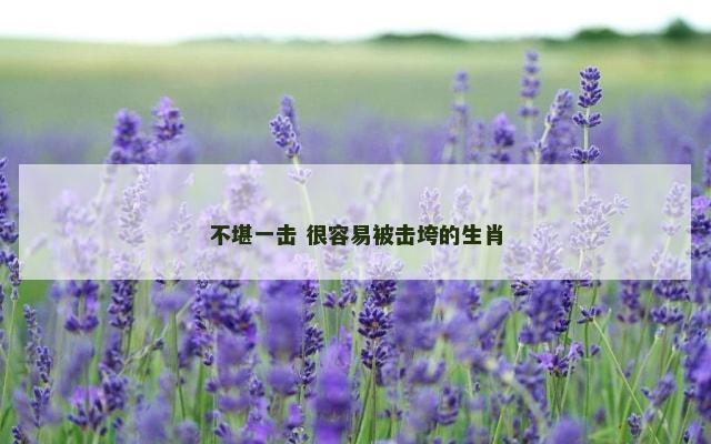 不堪一击 很容易被击垮的生肖
