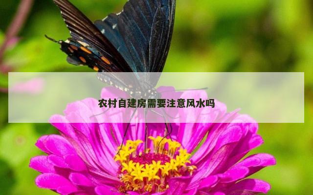 农村自建房需要注意风水吗