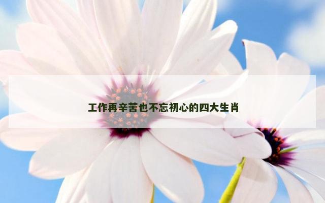 工作再辛苦也不忘初心的四大生肖