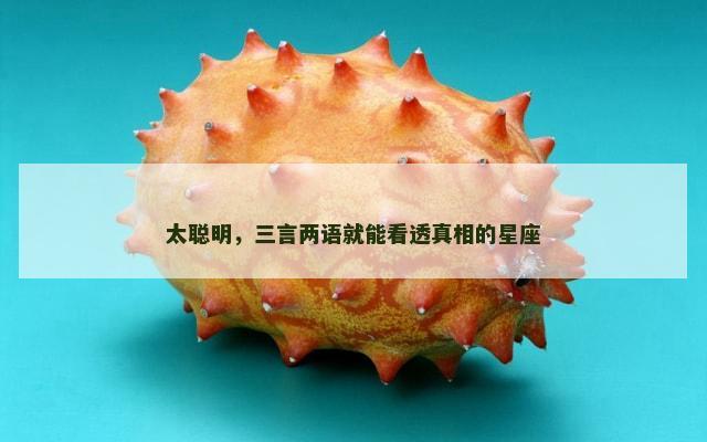 太聪明，三言两语就能看透真相的星座