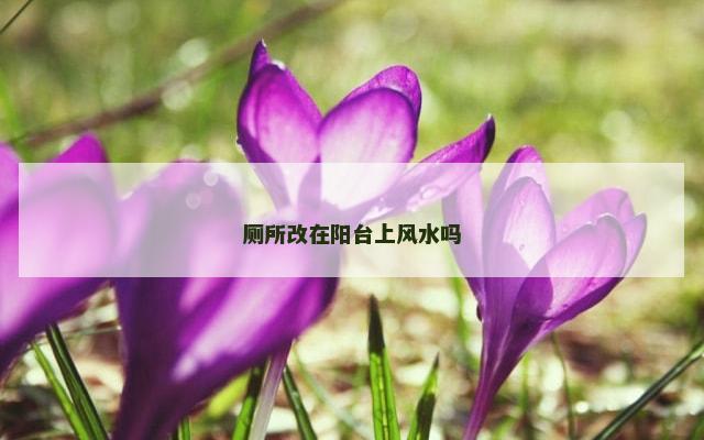 厕所改在阳台上风水吗