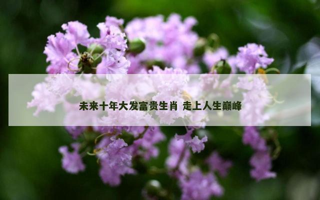 未来十年大发富贵生肖 走上人生巅峰