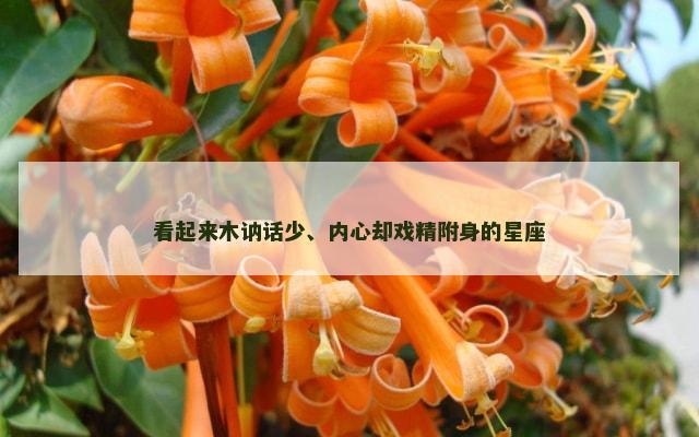 看起来木讷话少、内心却戏精附身的星座