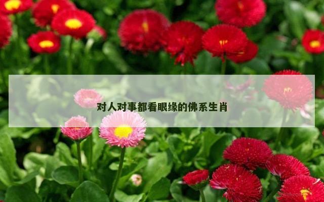 对人对事都看眼缘的佛系生肖