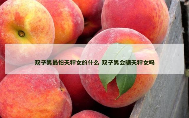 双子男最怕天秤女的什么 双子男会骗天秤女吗