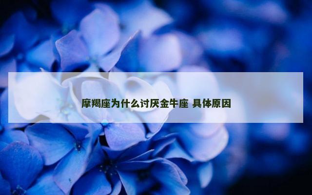 摩羯座为什么讨厌金牛座 具体原因