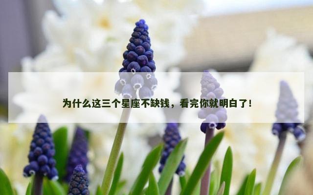 为什么这三个星座不缺钱，看完你就明白了！