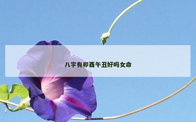 八字有卯酉午丑好吗女命