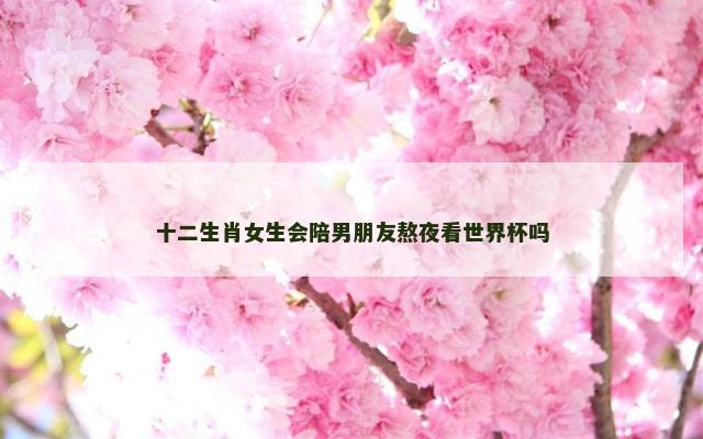 十二生肖女生会陪男朋友熬夜看世界杯吗