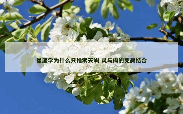 星座学为什么只推崇天蝎 灵与肉的完美结合