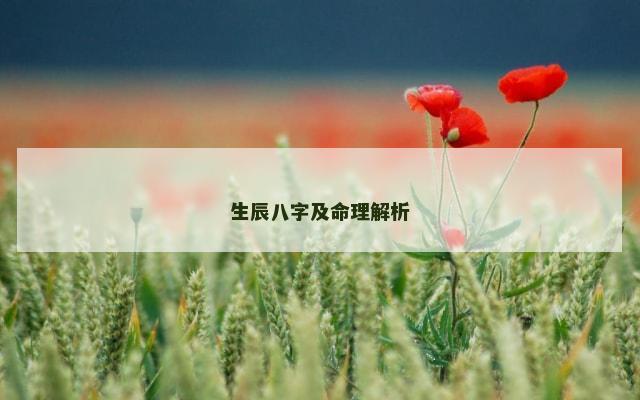 生辰八字及命理解析
