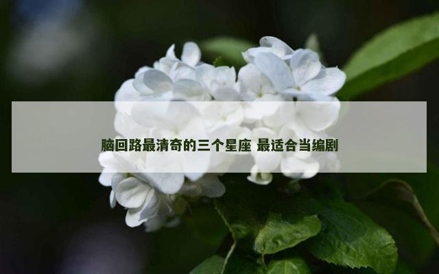 脑回路最清奇的三个星座 最适合当编剧
