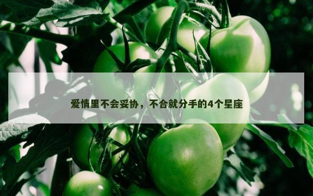 爱情里不会妥协，不合就分手的4个星座
