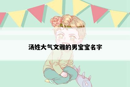 汤姓大气文雅的男宝宝名字
