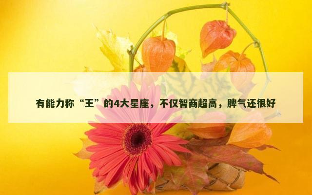 有能力称“王”的4大星座，不仅智商超高，脾气还很好
