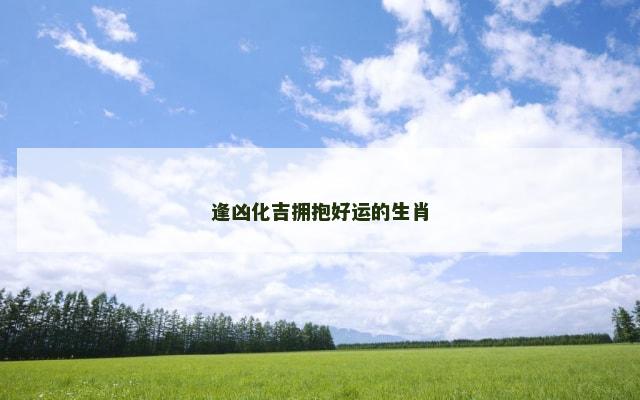 逢凶化吉拥抱好运的生肖