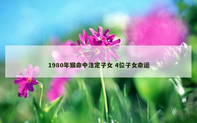 1980年猴命中注定子女 4位子女命运