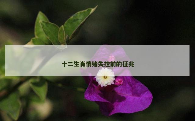 十二生肖情绪失控前的征兆