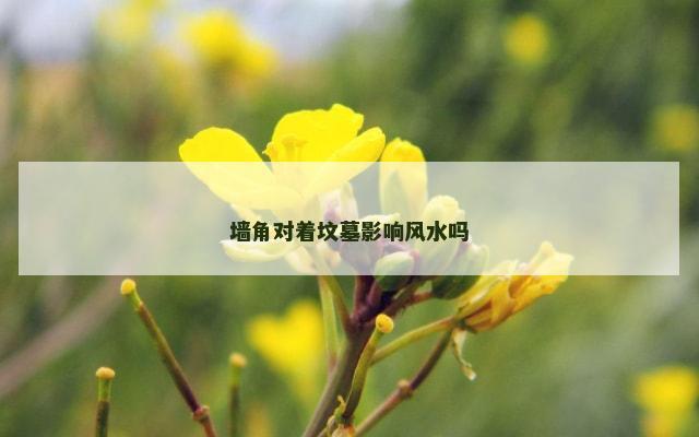 墙角对着坟墓影响风水吗